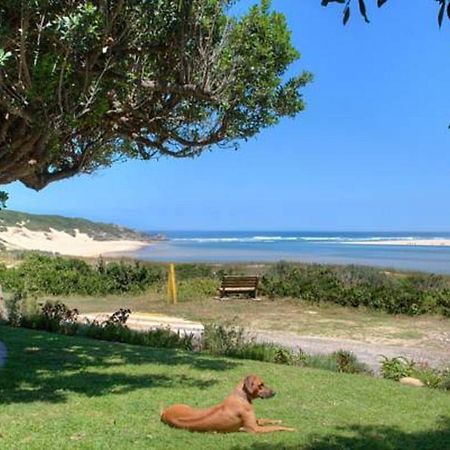 Milkwood Manor B & B Кентън он Сий Екстериор снимка